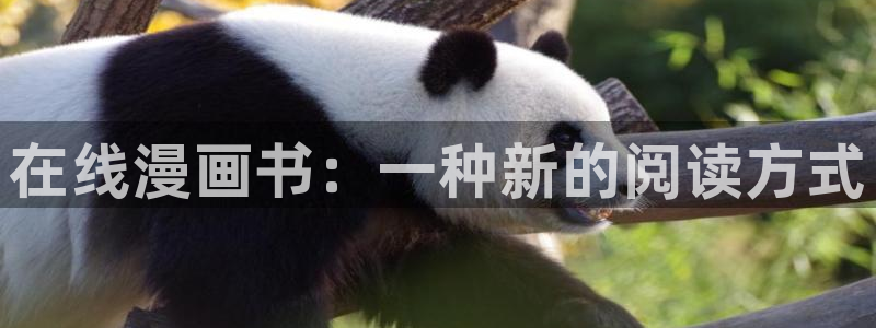 虫虫漫画页面在线看漫画：在线漫画书：一种新的阅读方式