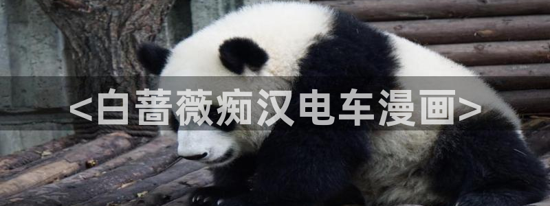 虫虫漫画免费漫画弹窗入口口红胶：<白蔷薇痴汉电车漫画>