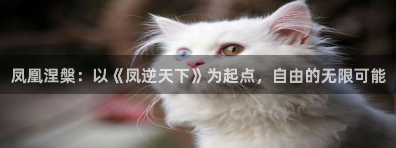 虫虫漫画在线免费