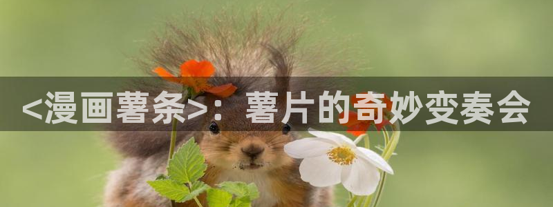 虫虫漫画页面免费漫画入口