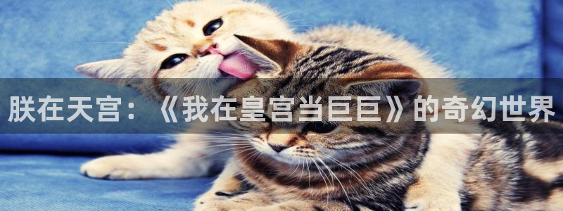 虫虫漫画官网免费漫画入口