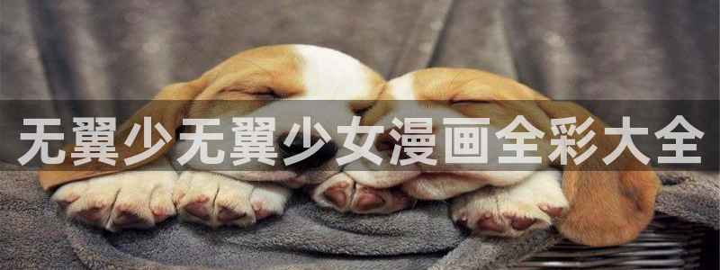 免费的完整虫虫漫画下载