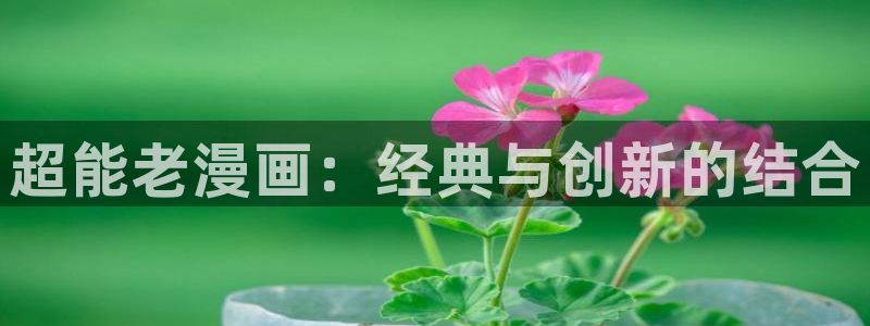 虫虫漫画在线观看网站
