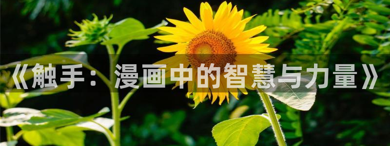 虫虫漫画免费页面在线看漫画